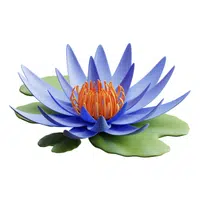 Blue Lotus
