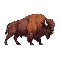 Buffalo