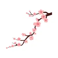 Cherry Blossom