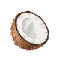 Coconut