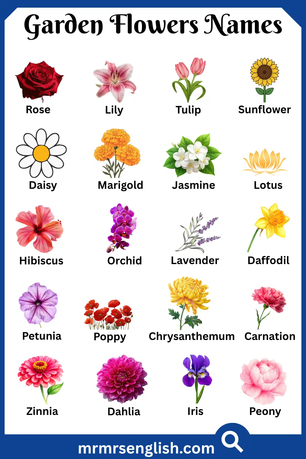 Common Names of Garden Flowers in English with Pictures