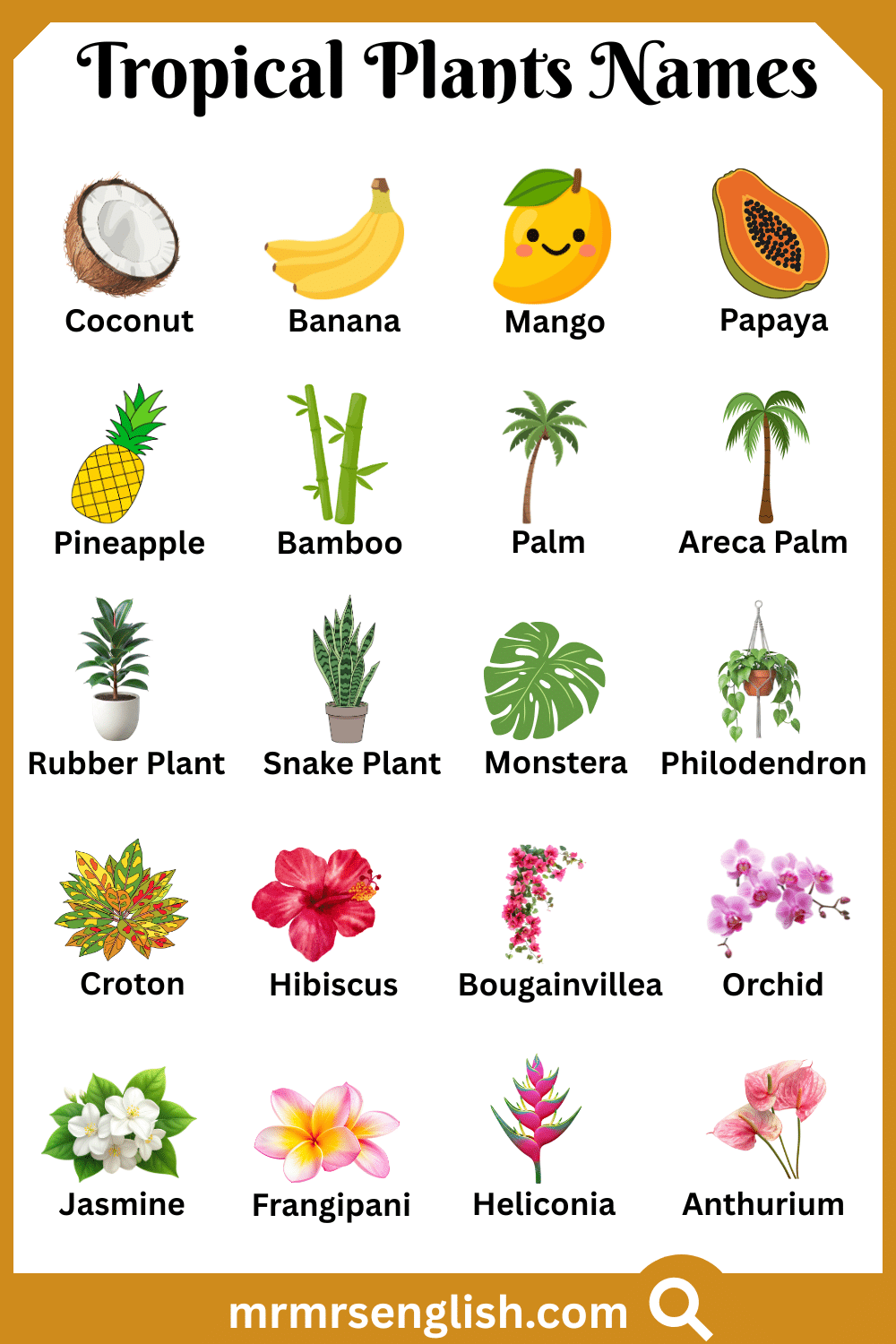 Common Names of Tropical Plants in English with Pictures