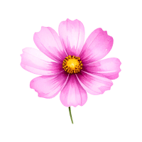 Cosmos