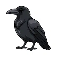 Crow