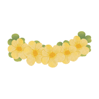 Crown Flower