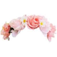 Crownflower