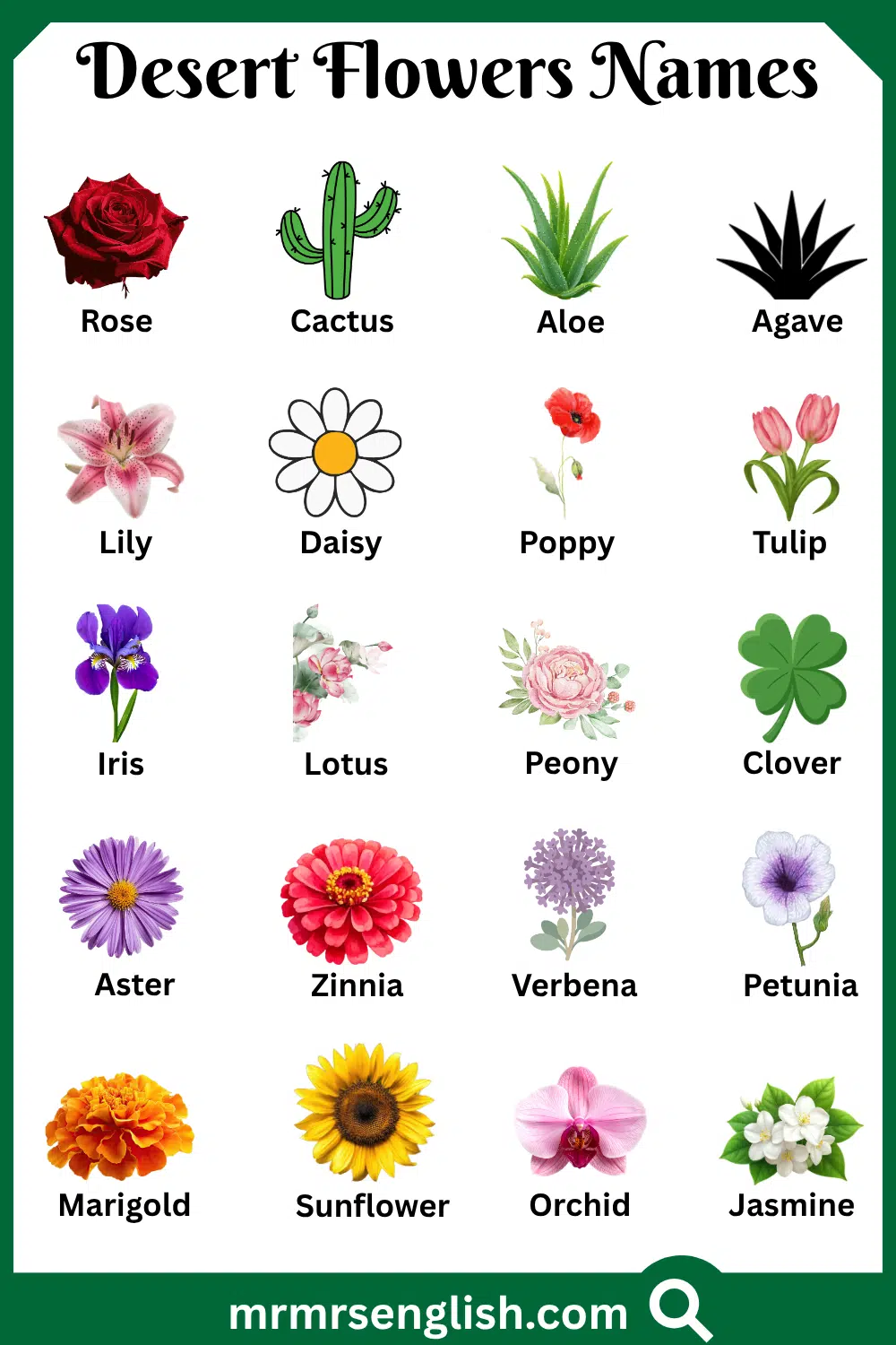 Common Names of Desert Flowers in English with Pictures