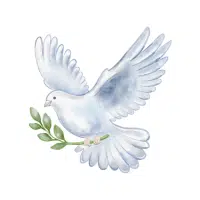 Dove