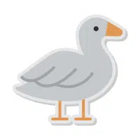 Drake