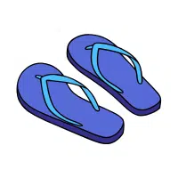 Flip Flops