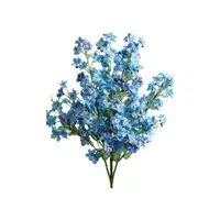 Forget-me-not