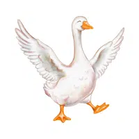 Gander