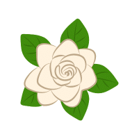 Gardenia