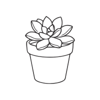 Ghost Plant | Desert Plants Names