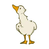 Gosling | Farm Birds Names