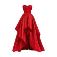 Gown