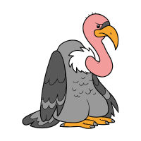 Griffon Vulture | Mountain Birds Names
