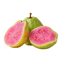 Guava | Tropical Plants Names