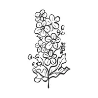 Hawthorn