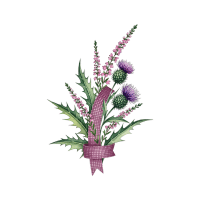 Heather | Wild Plants Names