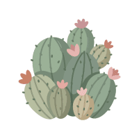 Hedgehog | Desert Plants Names