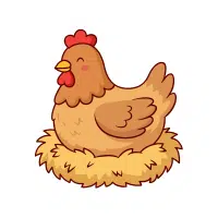 Hen | Farm Birds Names