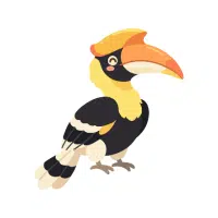 Hornbill
