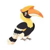 Hornbill | Zoo Birds Names