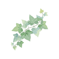 Ivy | Wild Plants Names