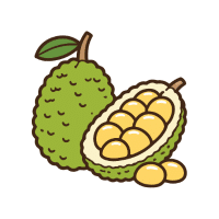 Jackfruit | Tropical Plants Names