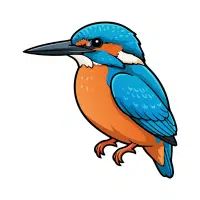 Kingfisher