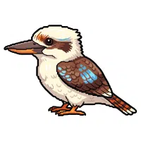 Kookaburra | Zoo Birds Names