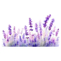 Lavender | Spring Flowers Names