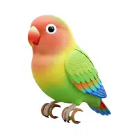Lovebird | Zoo Birds Names