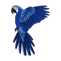 Macaw