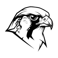 Merlin Falcon | Mountain Birds Names