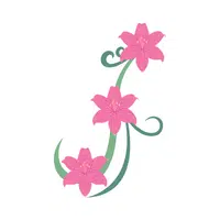 Mini Lily | Water Flowers Names