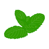 Mint | Wild Plants Names