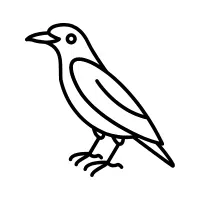 Mynah | Zoo Birds Names