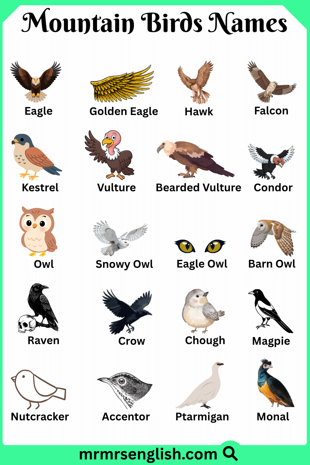 Names of Mountain Birds in English with Pictures