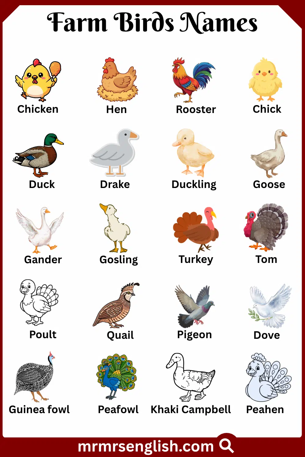 Names of Farm Birds in English with Pictures