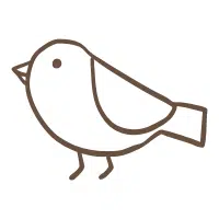 Nutcracker | Mountain Birds Names