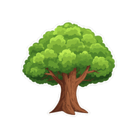 Oak | Wild Plants Names