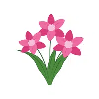Oleander | Desert Flowers Names