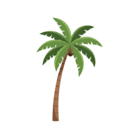 Palm | Tropical Plants Names
