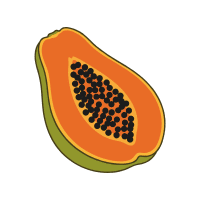 Papaya | Tropical Plants Names