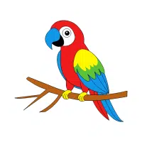 Parrot | Zoo Birds Names