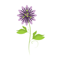 Passion Flower | Tropical Flowers Names