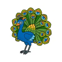 Peafowl | Farm Birds Names