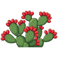 Pear Cactus | Desert Plants Names